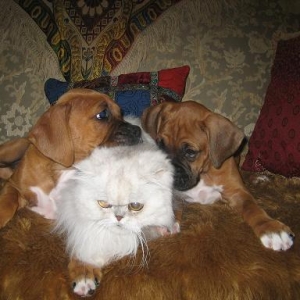 AWWW!!!