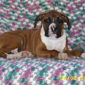 My pretty boy!!