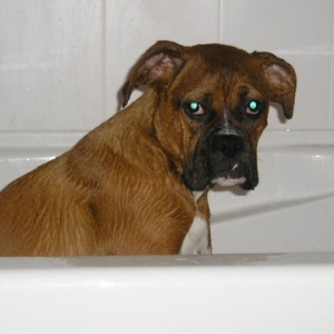 Bad Bath Time