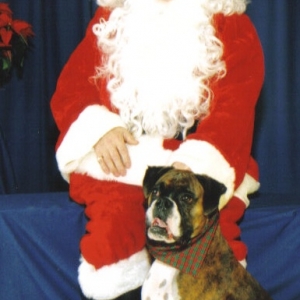 molly's christmas picture 2006
