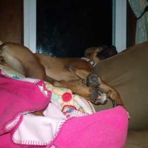 think she's comfy?