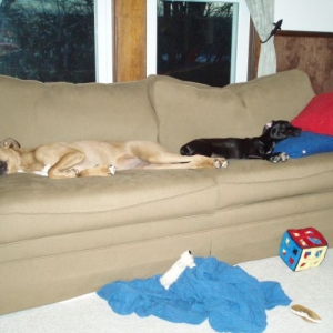 Where am i supposed to sit?