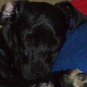 isn't she so cute!!!