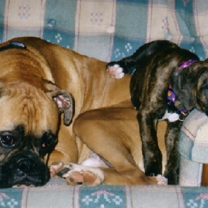 Diesel and Reese