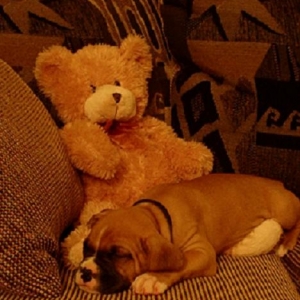 Relaxin' at 6 weeks