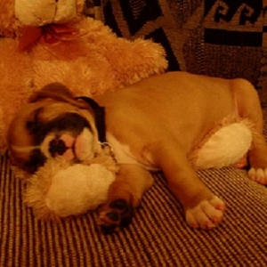 Snoozin'