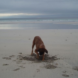 I know it's here somewhere...