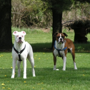 Spring is here!!!