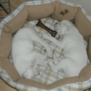 Our new Twins