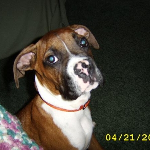 Max trying to look like an Angel!