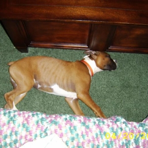 Max asleep again!