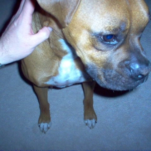 Sweet Sammie
