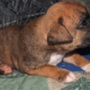 my baby Cairo