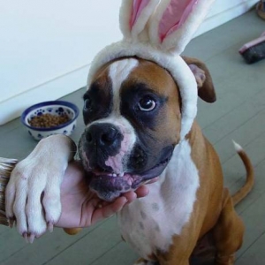 easter_2006_ver