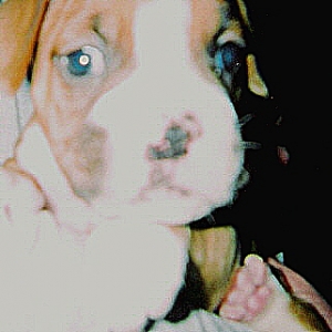 first picture