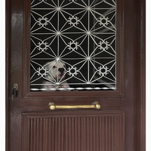 Let me out!