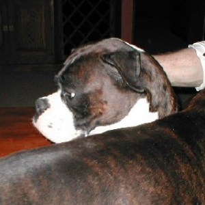 Tino again...
