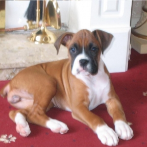 my baby bonnie