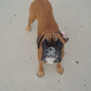 Dirty face!