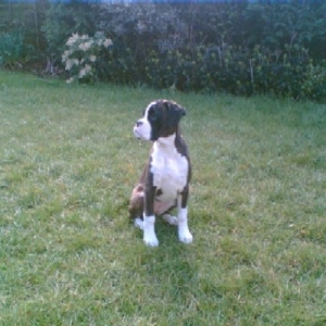 Standing proud.