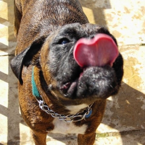 Bruno's water pictures