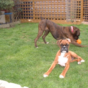 Lola 13 months, Zeb 15 weeks
