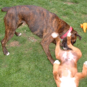 Lola getting her own back