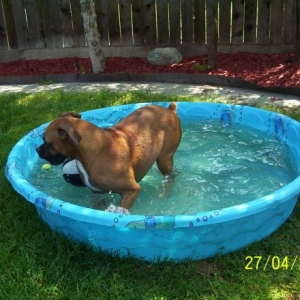 Jackie taking a dip in Gracie's pool