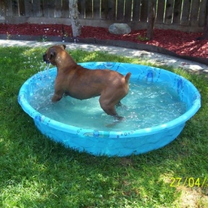 Jackie splashing around with Gracie...lol