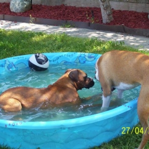 Jackie enjoying the water...lol..