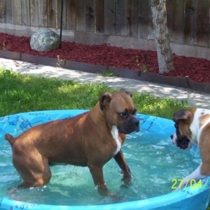Jackie and Gracie playing around in the water...