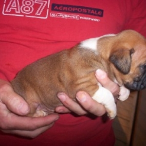 our_baby_girl