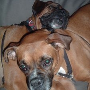 Tessie thinking, get off me