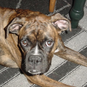 Macy Mae