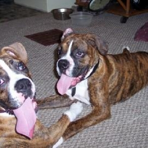 Hank and Tyson