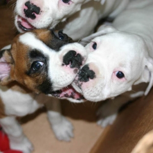 having fun biting her brother