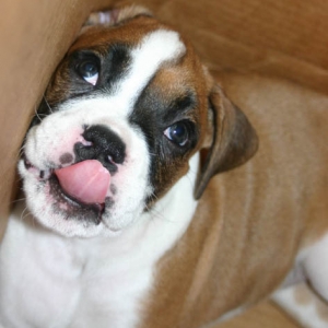 sticking her tongue out at the camera