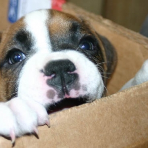 hi mom!