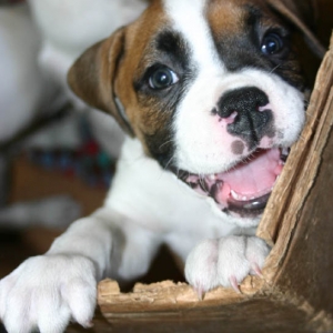 big smile