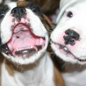 another big smile!!
