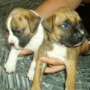 Cairo and his sister