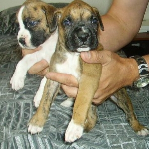 Another pic of Cairo and his sis