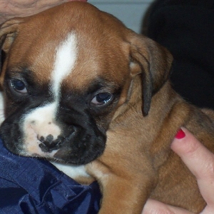 Riley_4_weeks