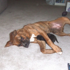 Kaybie cuddling with Onyx