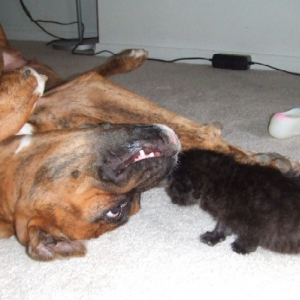 Kaybie being silly with Onyx