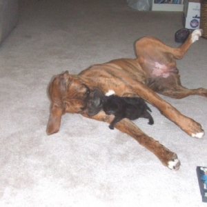 Kaybie kissing Onyx