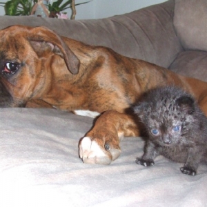 Kaybie & Onyx