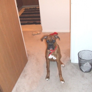 Kaybie sitting pretty (6.5 months old)