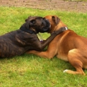 Having a Hug