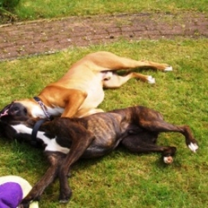 Out for the count!